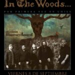 METAL: In the Woods… por primera vez en Chile